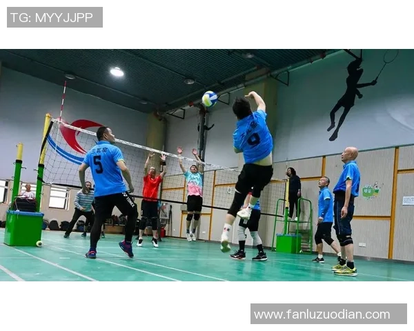 与刘静畅谈排球生涯的辉煌与挑战以及未来的展望